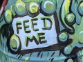 2021-06-14-Feed-Me-gruen-1000ho